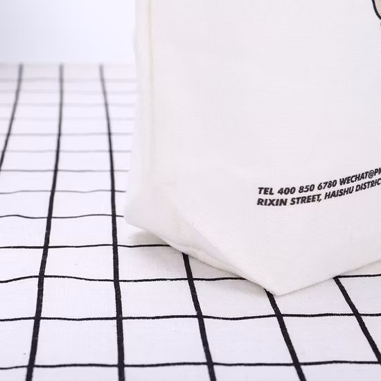 Las mujeres baratas respetuosas del medio ambiente al por mayor del niño de la fábrica manejan la mini bolsa de asas